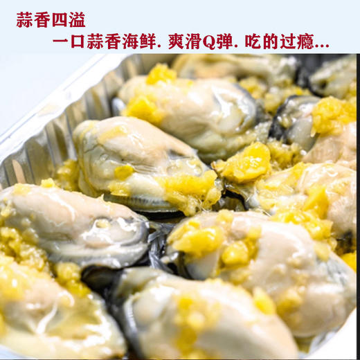 WANMEIYOUPIN完美优品乳山生蚝罐头（蒜蓉）250g/罐*8罐（固形物含量≥50%） 商品图3