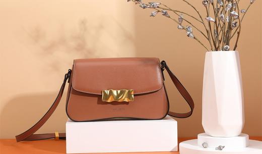 皮尔卡丹正品女士高级感小众包包女百搭复古时尚手提单肩包洋气法棍腋下包 商品图0