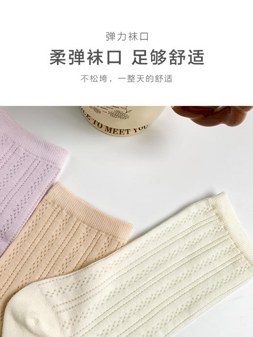 足装秀24夏季新品女士长筒袜堆堆袜超薄棉透气轻薄网眼长款女袜子 商品图7