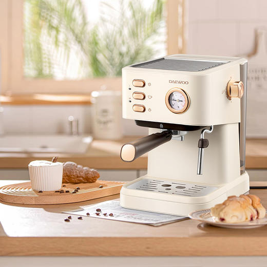 大宇压力咖啡机DYKF-1233 商品图0