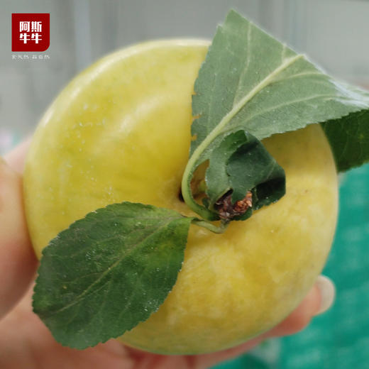 【牛牛好货】当季新鲜“李中之王”蜂蜜李，给味蕾出其不意的奇遇。 商品图2