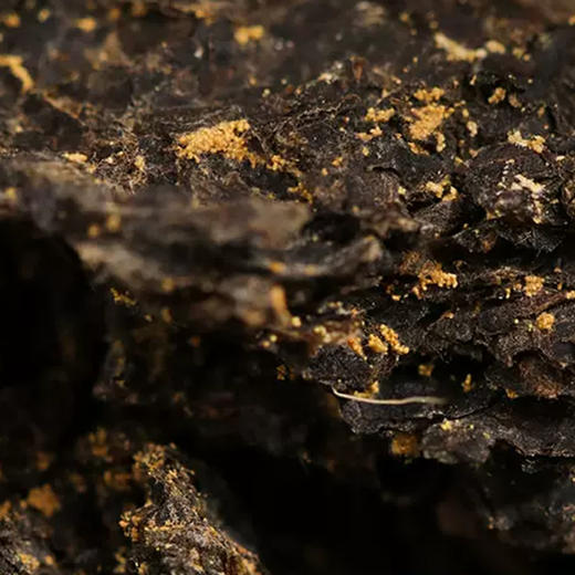 白沙溪1kg天茯（新版）1kg/盒 商品图2