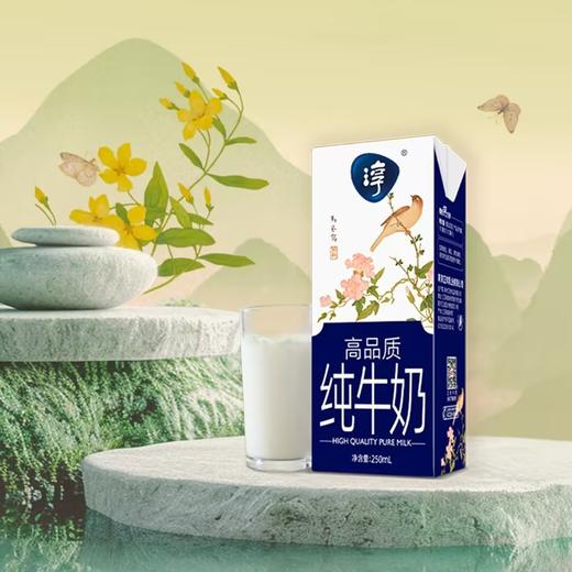 卫岗 砖淳3.6纯牛奶 250ml*12盒 商品图2