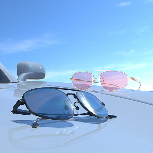 EYECROXX乘号眼镜-高级感ins痞帅小框潮复古偏光墨镜 XS20004 商品图1