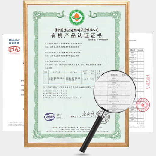 婺康源 有机金丝皇菊 特级24朵礼盒装 商品图3