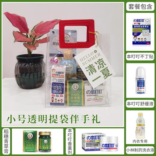 【伴手礼】清凉一夏小号透明提袋款/112705*117710*112704*080110 商品图0