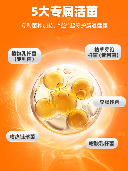 普安特狗狗益生菌膏调理肠胃呕吐腹泻软便拉稀消化不良补充营养剂 商品图3