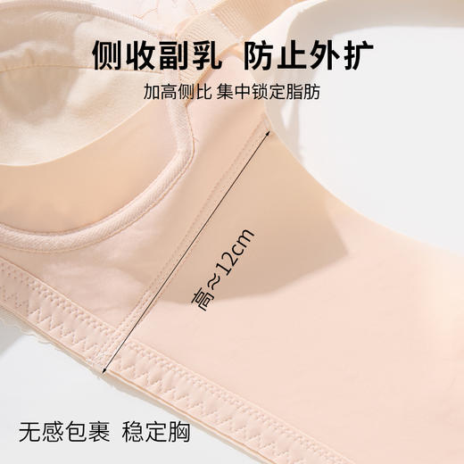 雅黛丽内衣聚拢小胸显大性感蕾丝文胸2024年新款收副乳防下垂胸罩 商品图3