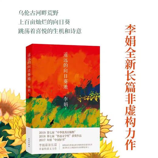 我的阿勒泰，遥远的向日葵地 商品图4