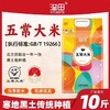 「10斤装！五常大米」溢田东北五常大米10斤黑龙江粳米东北大米5kg 粮油米面 商品缩略图0