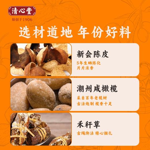 清心堂陈皮三宝扎 商品图1