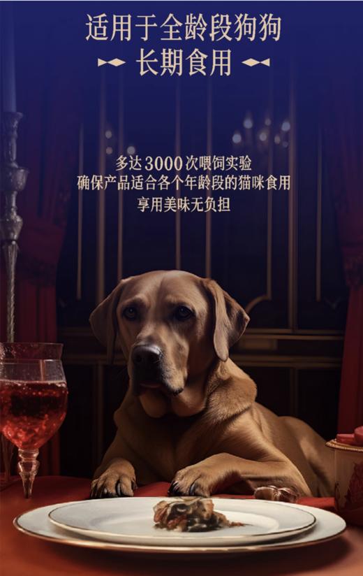 海上渔夫 三文鱼配方犬用主食罐头 商品图3