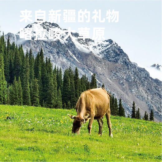 【热销】新疆喀拉峻麻辣牛肉干礼盒---源自新疆喀拉峻大草原的纯净！960克：120克/袋；8袋/箱； 新疆直邮！ 商品图4