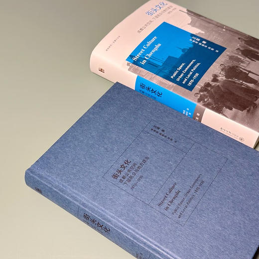 街头文化：成都公共空间、下层民众与地方政治 1870-1930 王笛 著 商品图6