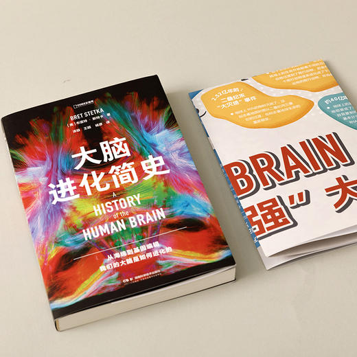 大脑进化简史：AI时代我们会被取代吗？《环球科学》作者雷特·斯特卡用有趣的笔调、清晰的逻辑让我们轻松认识大脑，发现影响人类命运的“暗线” 脑科学 神经学 进化 科普 商品图1