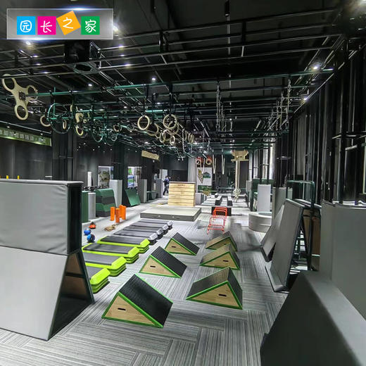 体能器材双曲棍 商品图3