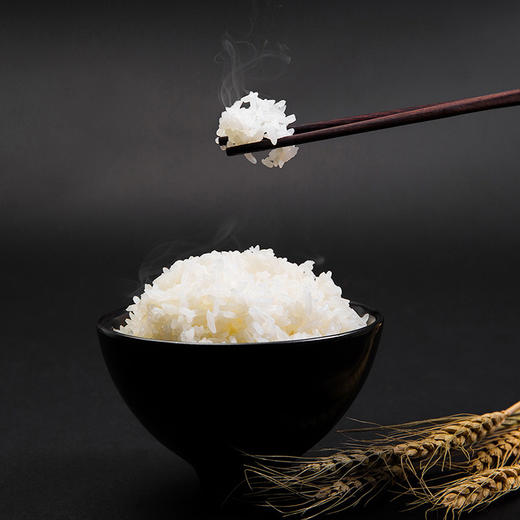 「10斤装！五常大米」溢田东北五常大米10斤黑龙江粳米东北大米5kg 粮油米面 商品图3