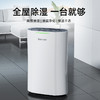 Bestherm新一代大空间全屋循环强排除湿净化一体机 商品缩略图0