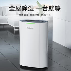 Bestherm新一代大空间全屋循环强排除湿净化一体机