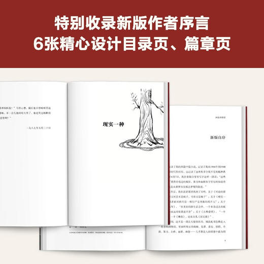 河边的错误（发疯虽然解决不了问题，但至少能让我痛快一把！余华发疯自救之作！） 商品图7