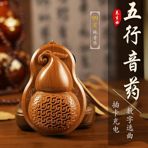 高音质五行养生纯音乐播放机数字选曲正品家用循环插卡便携晨练 商品图0