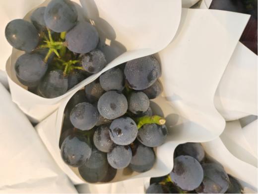 冰糖脆葡萄2斤 商品图2