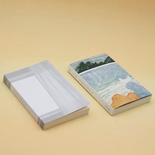 认识我的人慢慢忘了我（黄灿然选编，撰写万字编后记推荐）周慧 著 商品图9