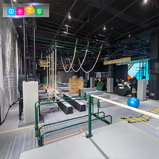 体能器材吊绳 商品图3