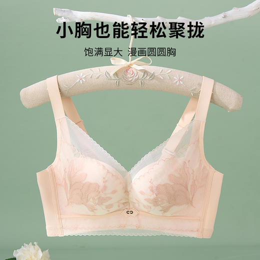 雅黛丽内衣聚拢小胸显大性感蕾丝文胸2024年新款收副乳防下垂胸罩 商品图1