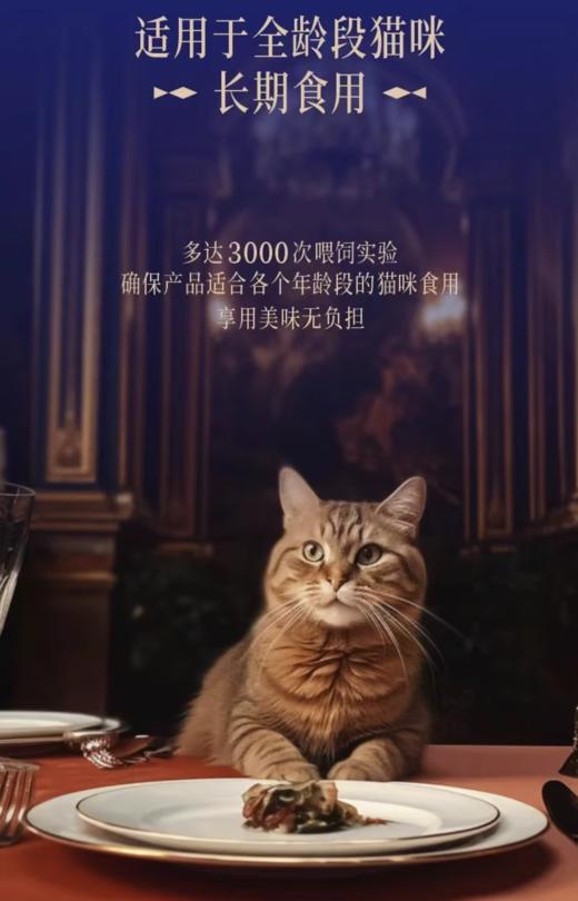 海上渔夫 三文鱼配方猫罐头系列 商品图4
