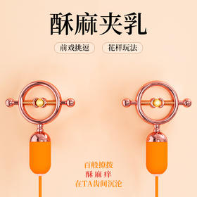 【斯汉德】 Forbidden Lock夹夹乐 酥麻乳夹SM性爱调情女用