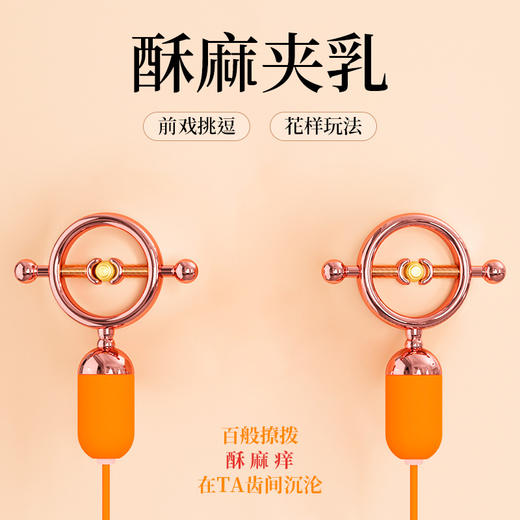 【斯汉德】 Forbidden Lock夹夹乐 酥麻乳夹SM性爱调情女用 商品图0