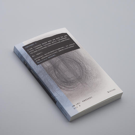 沉默与死亡:布朗肖思想速写 商品图1