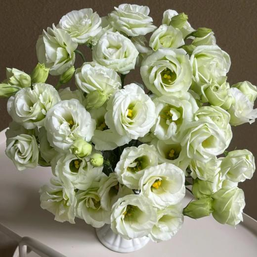 绿色 丨洋桔梗 商品图0