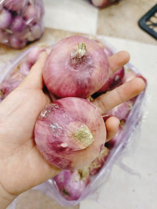 毛葱2斤 商品图0