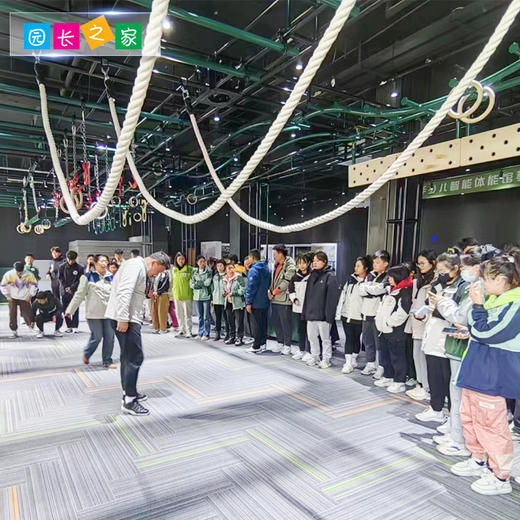 体能器材爬绳 商品图1