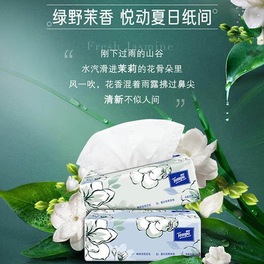 德国 T2281-A 得宝90抽4层(茉莉花味)抽纸(1×16)装/整箱 商品图0