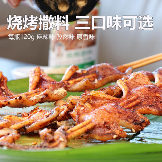 云南特产单山烧烤撒料瓶装撒料120g炸串炸鸡羊肉串腌料干蘸辣椒调味料 商品图2
