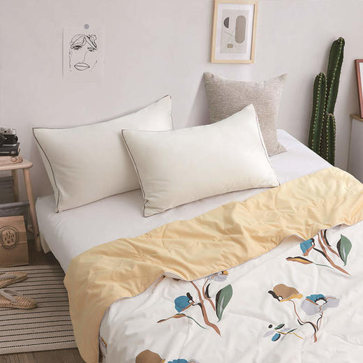 洁丽雅 印花抗菌被200×230cm朝花惜拾 商品图2