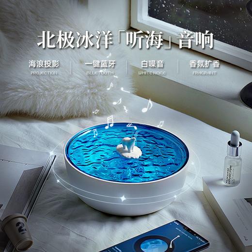 极地物种听海蓝牙音箱海浪投影氛围灯音响情人节生日礼物送男女生 商品图5