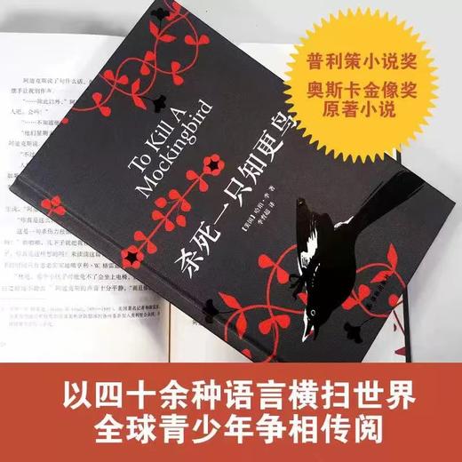 杀死一只知更鸟+亲爱的安吉维拉（套装） 商品图2