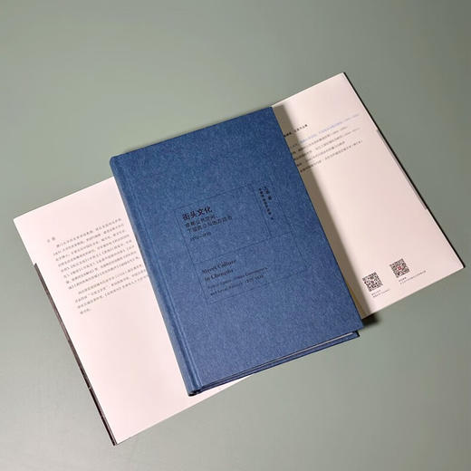 街头文化：成都公共空间、下层民众与地方政治 1870-1930 王笛 著 商品图5