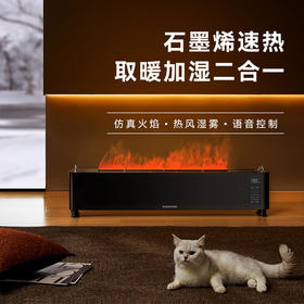 大宇石墨烯踢脚线取暖器仿真火焰暖风机家用节能客厅速热省电暖器