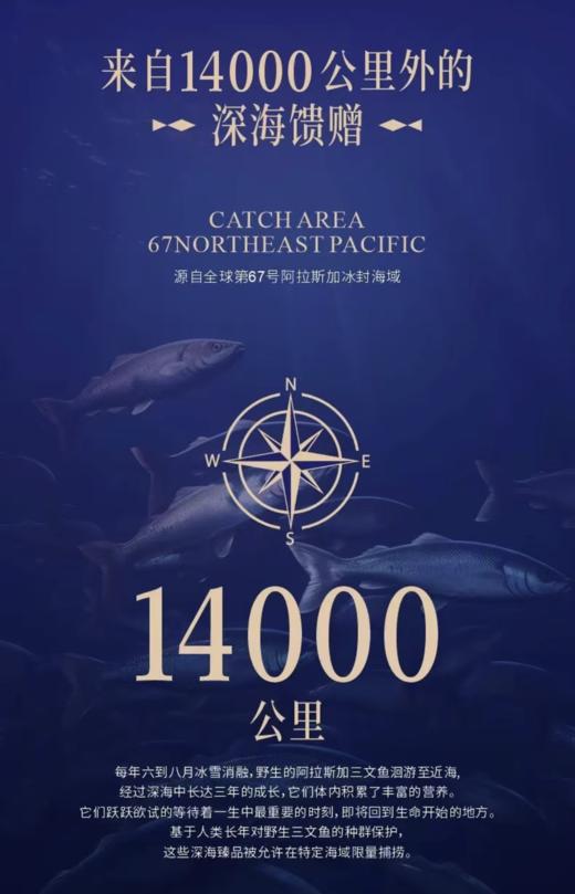 海上渔夫 三文鱼配方猫罐头系列 商品图1