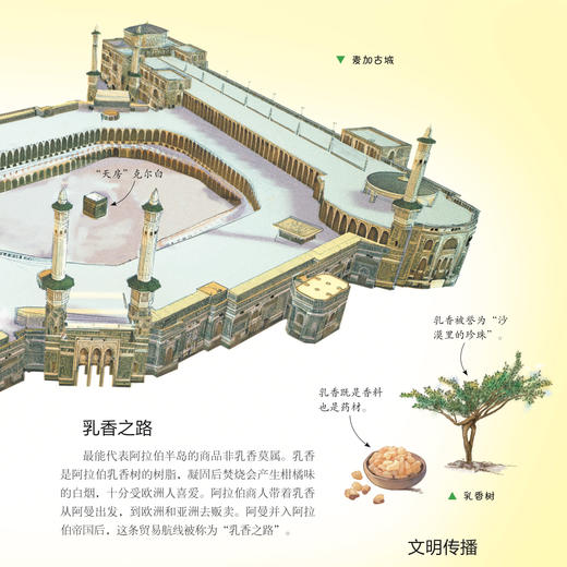 “少年简读简史”系列：《海洋简史》（全4册） 商品图10