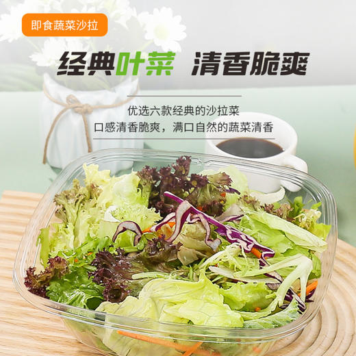 一号农场开盒即食阳光活力沙拉碗6种新鲜蔬菜免洗免切轻食代餐 商品图4