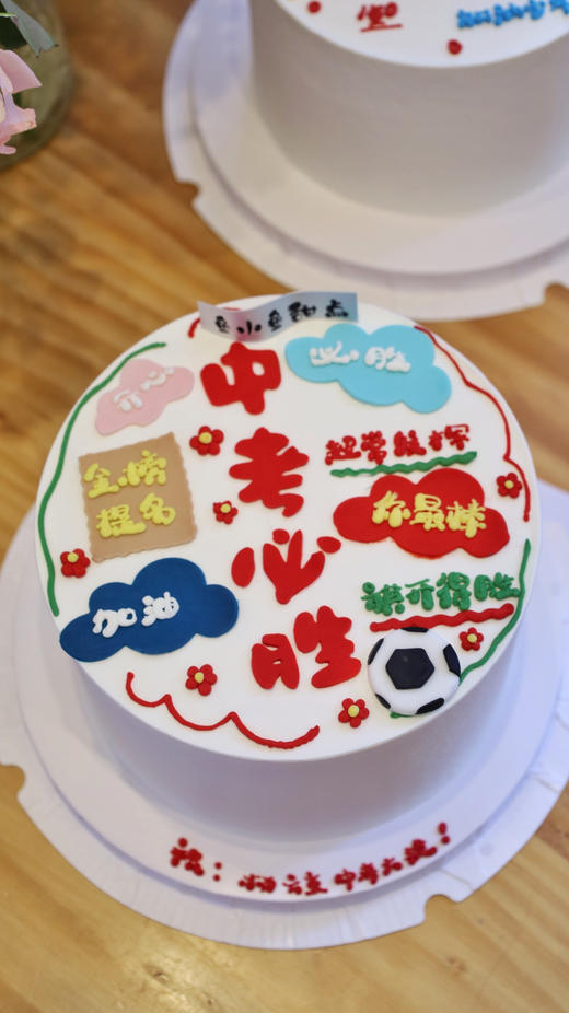 中考必胜 商品图2