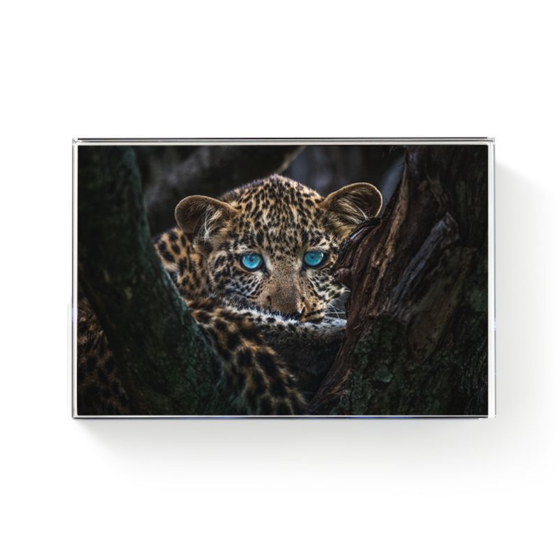 罗红摄影作品-水晶摆台