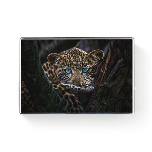 罗红摄影作品-水晶摆台 商品图0