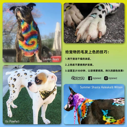 宠物持久染色剂--小瓶套装 OPAWZ小爪印 商品图5